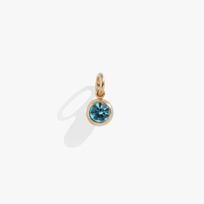 March Birthstone Interchangeable Charm